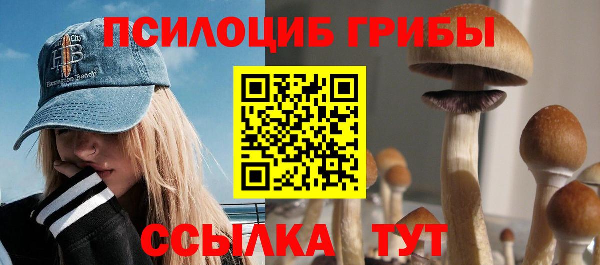 Галлюциногенные грибы мицелий  Галлюциногенные грибы Magic Shrooms  Советская Гавань  Вход с VPN 